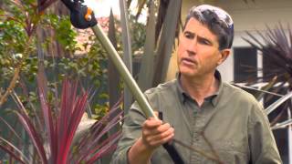 The Garden Gurus  Telescopic Tree Pruner [upl. by Janus43]