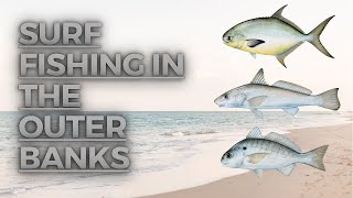 Surf Fishing in the Outer Banks [upl. by Mcnully]