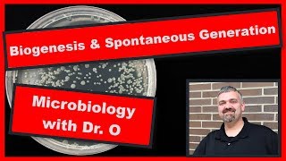 Biogenesis Versus Spontaneous Generation Microbiology [upl. by Ober]