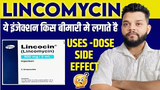 Lincomycin Injection कब लगाते है  Lincocin Injection UsesDoseSide Effects In Hindi [upl. by Magdala]