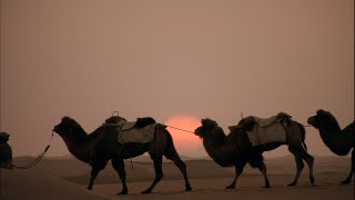 Kitaro  Silk Road  Caravansary live [upl. by Santa400]