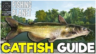 CATFISH Fishing Guide  Fishing Planet Tips [upl. by Sly]