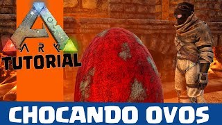 Como chocar ovos em Ark Survival Evolved [upl. by Neilson]