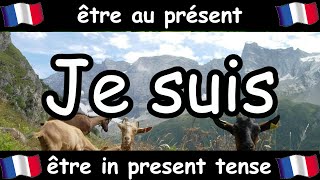 French Conjugation Song  Être  Celtic Music [upl. by Pat835]