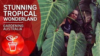 Tropical plant collectors show how to breed rare aroids  Gardening Australia [upl. by Aiek]