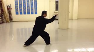 Xing Yi Quan HsingI 河北形意拳  5 Elements SlowMotion Demonstration [upl. by Grodin515]