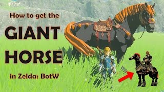 How to get the GIANT HORSE in Zelda Breath of the Wild [upl. by Latsyek778]