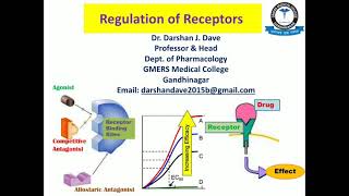 Upregulation amp Downregulation of Receptors [upl. by Hinkle]