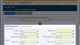 How to EFile a W2 Form [upl. by Eelrebmyk]