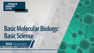 Basic Molecular Biology Basic Science – RNA Structure [upl. by Kinzer]