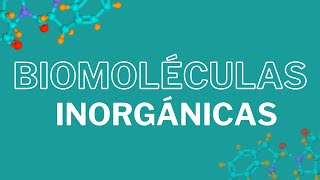 Biomoléculas inorgánicas CLASIFICACIÓN Y FUNCIÓN [upl. by Plante207]