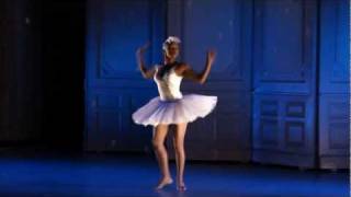 Live Performance of Dada Masilos Swan Lake [upl. by Ashti623]