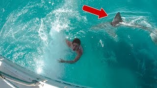 SHARK PRANK WENT REAL [upl. by Mendel]