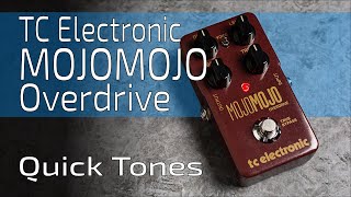 TC Electronic MOJOMOJO Overdrive  Quick Tones no talk [upl. by Fronniah333]