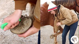 How To Clean A Horses Hooves The Easy Way [upl. by Htor]