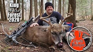 Bunjies CROSSBOW Buck from a Ground Blind [upl. by Airoled]