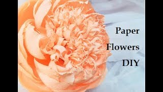 Crepe paper peony Giant crepe paper peony flowers DIY Wedding decorations Flowers on the wall [upl. by Ellenij134]