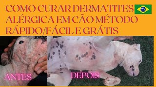 COMO CURAR DERMATITES ALÉRGICA EM CÃES MÉTODO RÁPIDO FÁCIL E GRATUITO [upl. by Peednam]