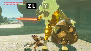 Zelda Breath of the Wild  5 Advanced Combat Tips [upl. by Linnet937]