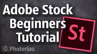 Adobe Stock Contributor Tutorial and Tips for Beginners [upl. by Llerrem395]