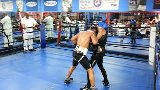 Teofimo Lopez Sparring Gervonta Davis [upl. by Kilan916]