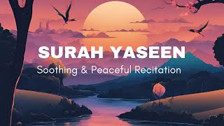 Surah Yaseen  Powerful amp Soothing Recitation [upl. by Gauldin]