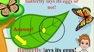 What is Oviparous and Viviparous [upl. by Eugeniusz]