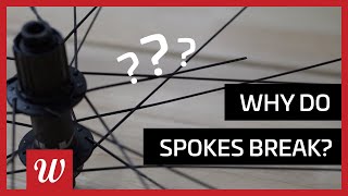 Why Do Spokes Break [upl. by Copeland]