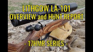 Lithgow LA101 Overview and Hunt Report  17HMR Series [upl. by Anawik]