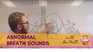 Abnormal Breath Sounds  Respiratory System [upl. by Maggy]