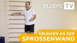 Sprossenwand Übungen  Sprossenwand Training für den ganzen Körper [upl. by Thamos]