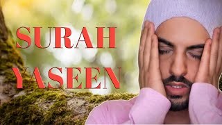 Surah Yasin  Yaseen  Full  Recited By Omar Hisham Al Arabi [upl. by Anitnegra]