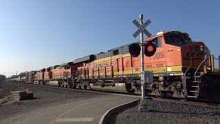 BNSF 7005 Manifest North Sacramento Northern Bike Trail Ped Railroad Crossing Sacramento CA [upl. by Eadahc]