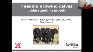 Understanding protein needs of growing calves [upl. by Sirtimed]