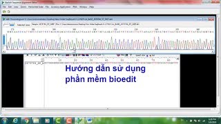 huong dan su dung bioedit [upl. by Eward847]