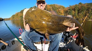 Catching BIG Catfish in TINY Boat  tips and tactics to catch more catfish [upl. by Solnit886]