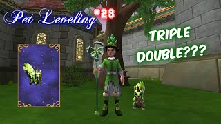 Wizard101 Pet Leveling 28  TRYING TO CREATE A TRIPLE DOUBLE FROM AN INCOMPLETE PET [upl. by Issac]