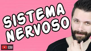 SISTEMA NERVOSO  FISIOLOGIA  Aula  Biologia com Samuel Cunha [upl. by Eem122]