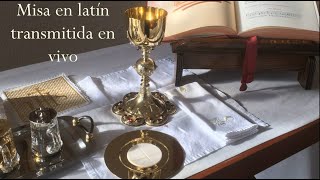 Misa en latín diaria en vivo  video introductorio Spanish [upl. by Youngman472]