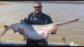 FISH4FUN SPOONBILL SNAGGING ON TRUMAN LAKE [upl. by Aiello]