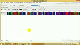 How to work with BioEdit sequence alignment editor [upl. by Fania449]