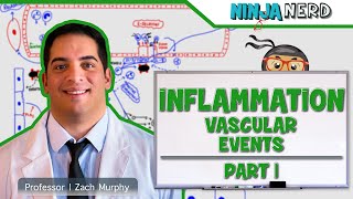 Immunology  Inflammation Vascular Events Part 1 [upl. by Carmelia528]