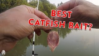 How To Catch Catfish From The Bank  Catfishing Bait Rigs amp Tips [upl. by Ennairam]