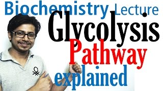 Glycolysis biochemistry [upl. by Tebor170]