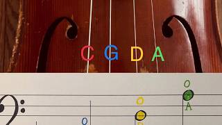 Learn to Read Notes for Cello in Less than 5 Minutes [upl. by Esmaria]