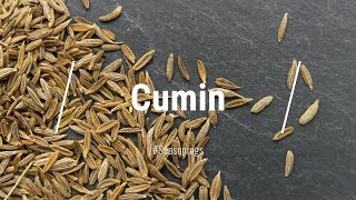 🔵 All About Cumin Spice [upl. by Ariaj]