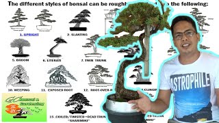 The different Styles of Bonsai Explained Beginners Guide [upl. by Hallee515]