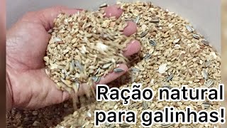 Como fazer Ração Caseira e Natural para galinhas [upl. by Ruprecht]