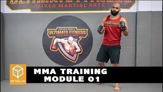 Beginners MMA Crash Course Lesson 1 Basics [upl. by Amend]