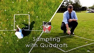 Sampling with Quadrats  GCSE Biology Required Practical [upl. by Sucramal]